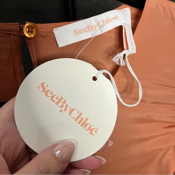 See By Chloe Silk Blend Ruffle Long Sleeve Blouse Size 34 - Picture 5 of 16